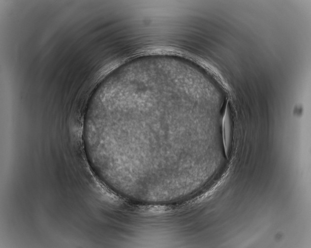 X0000099380841200806051119