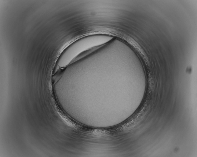 X0000099380842200806051119