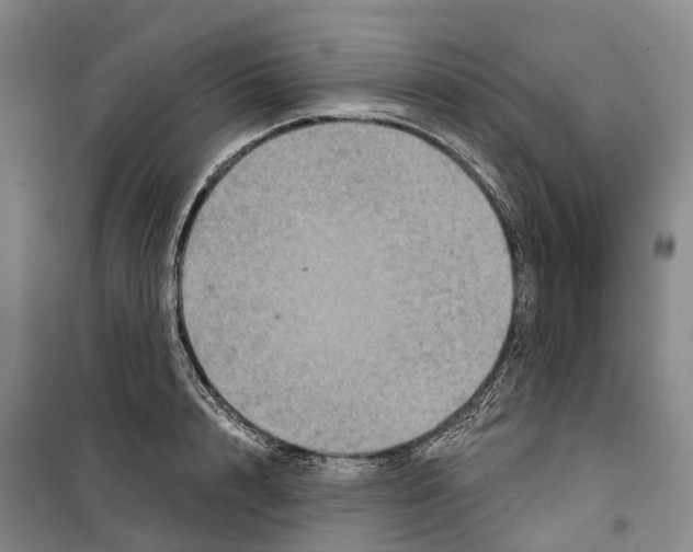 X0000099380848200806051119