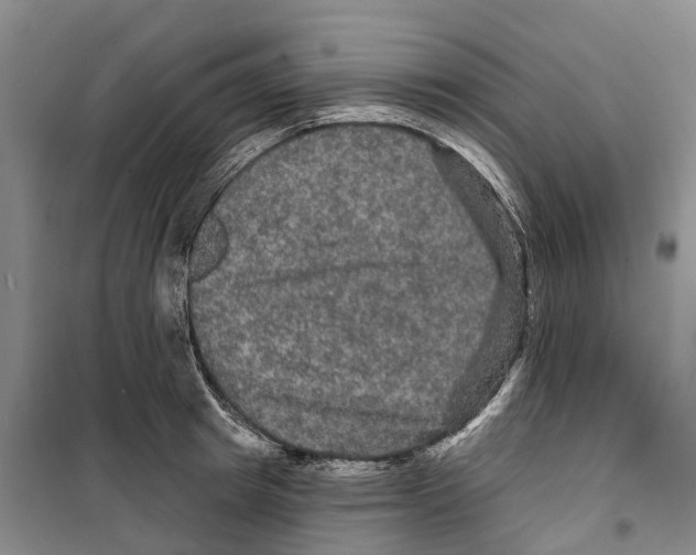 X0000099380849200806051119