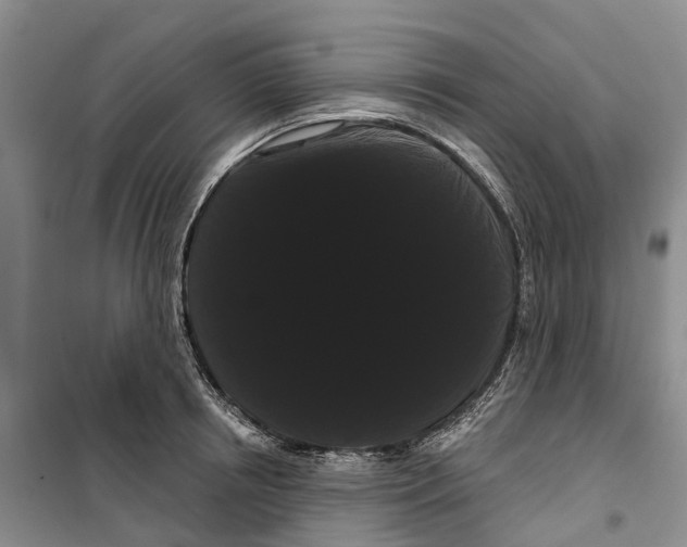 X0000099380850200806051119