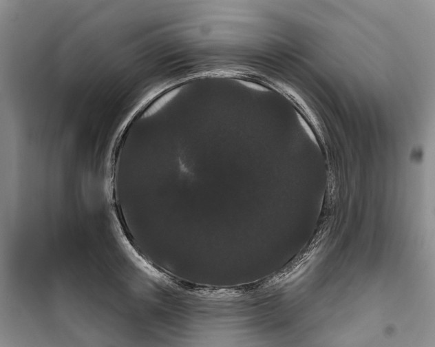 X0000099380851200806051119