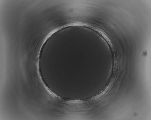 X0000099380853200806051119