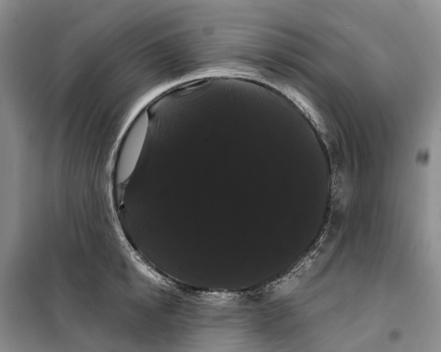 X0000099380854200806051119
