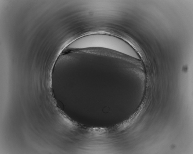 X0000099380858200806051119