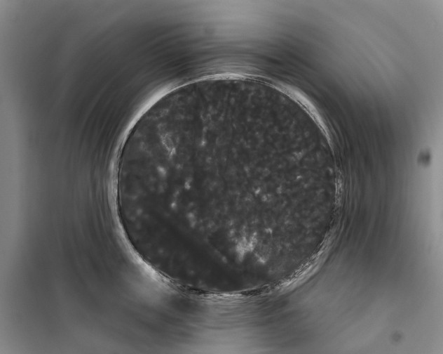 X0000099380859200806051119