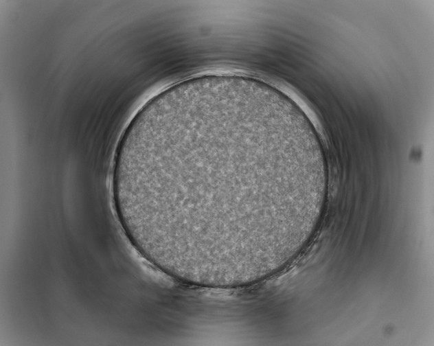 X0000099380861200806051119