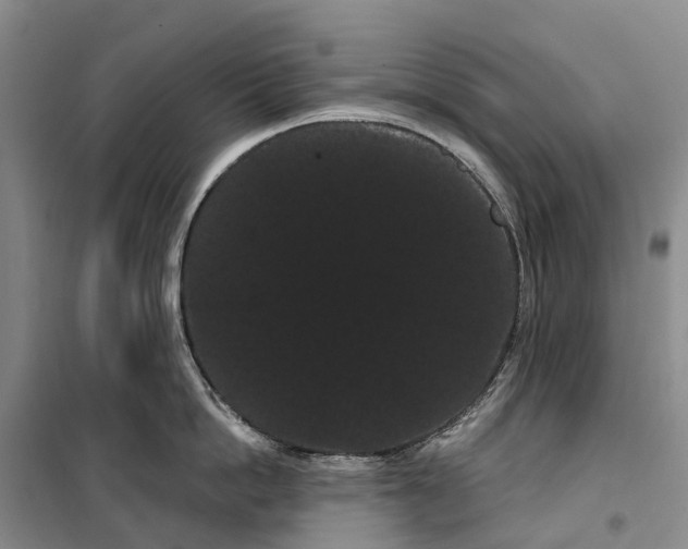X0000099380862200806051119