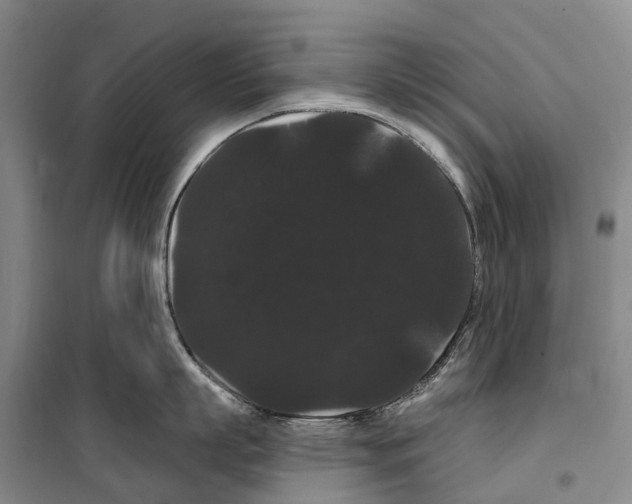 X0000099380863200806051119