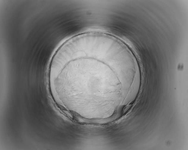 X0000099380864200806051119