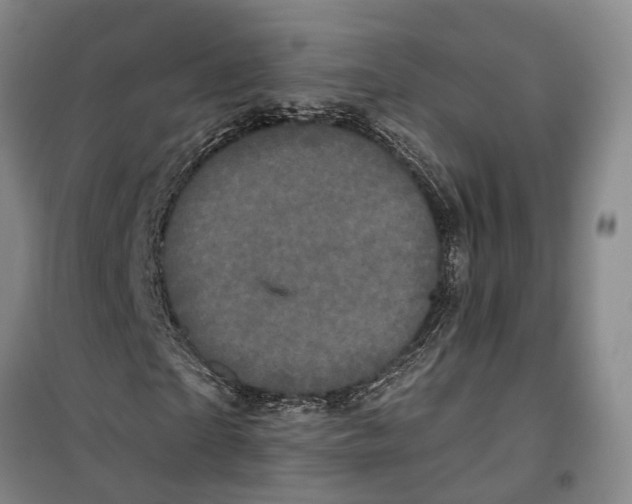 X0000099380865200806051119