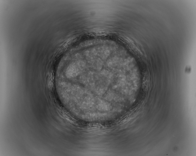 X0000099380866200806051119