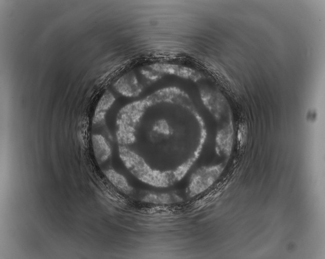 X0000099380867200806051118