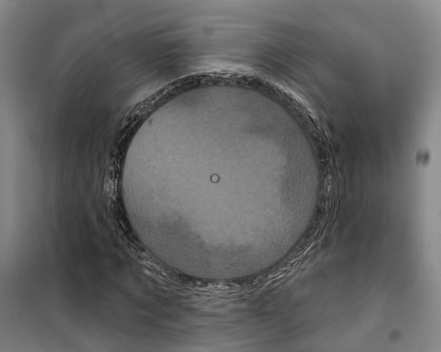 X0000099380869200806051118