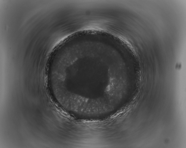 X0000099380872200806051118