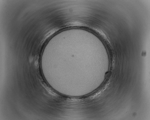 X0000099380873200806051118