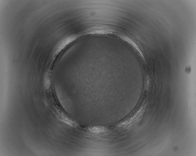 X0000099380874200806051118