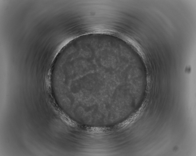 X0000099380875200806051118