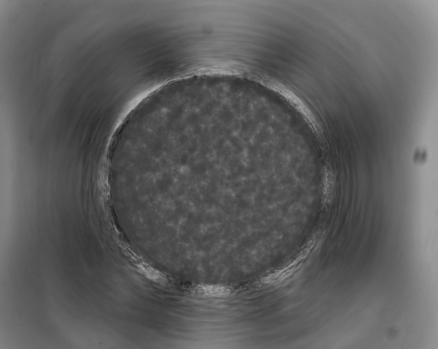 X0000099380878200806051118