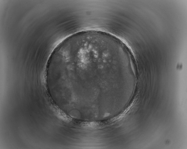 X0000099380879200806051118