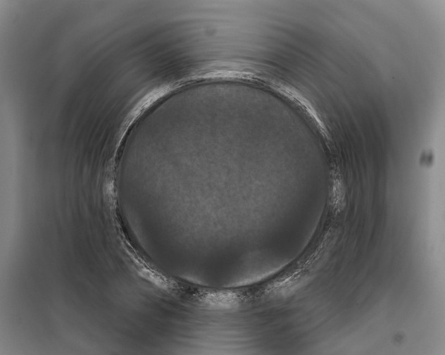 X0000099380882200806051118