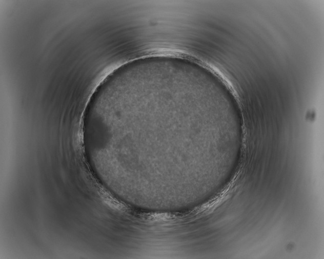 X0000099380883200806051118
