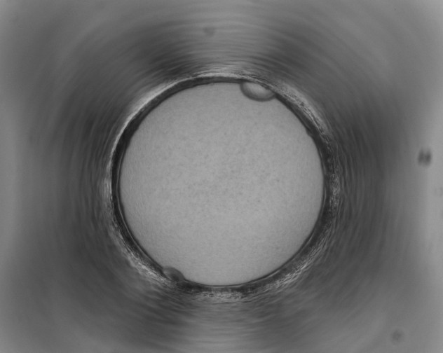 X0000099380884200806051118