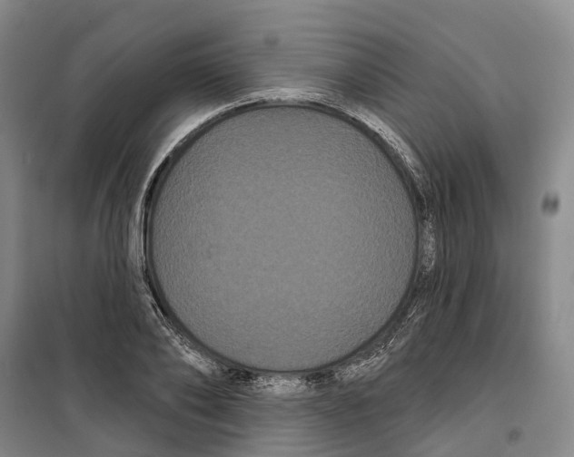 X0000099380886200806051118