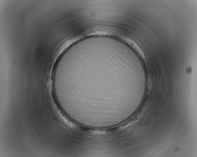 X0000099380890200806051118