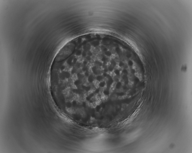X0000099380891200806051118