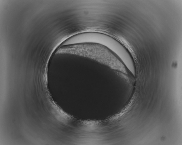 X0000099380892200806051118