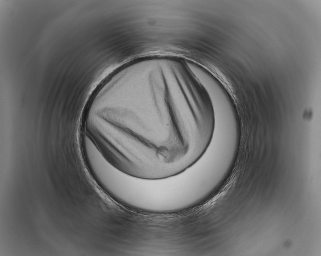 X0000099380893200806051118