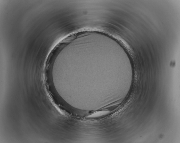 X0000099380894200806051118
