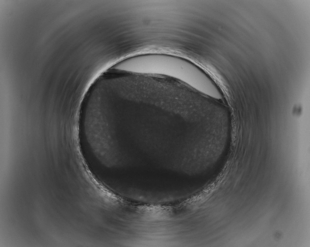 X0000099380896200806051118