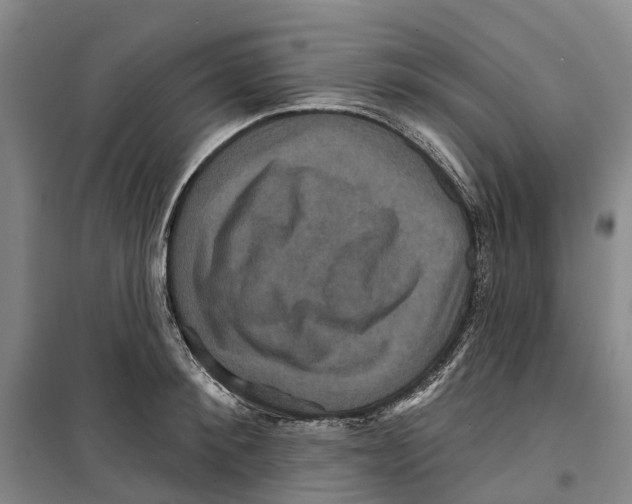 X0000099380900200806051118