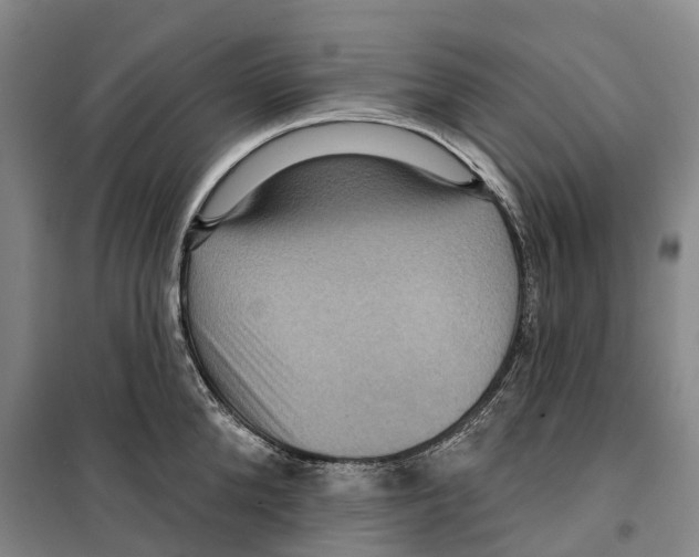 X0000099380904200806051118