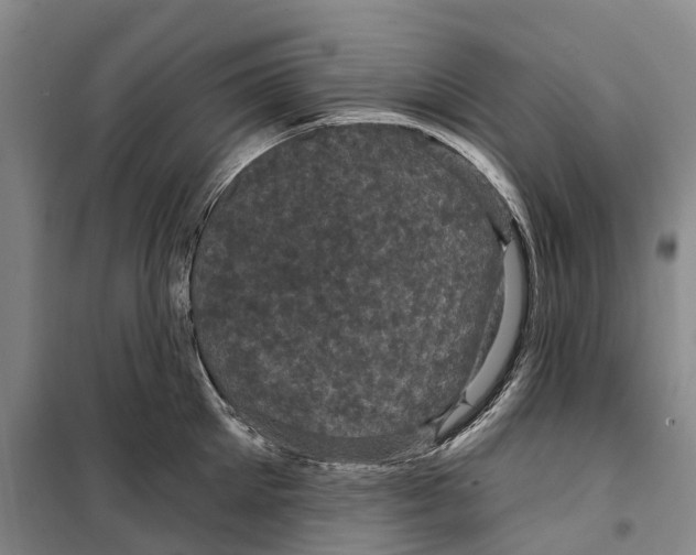 X0000099380905200806051118