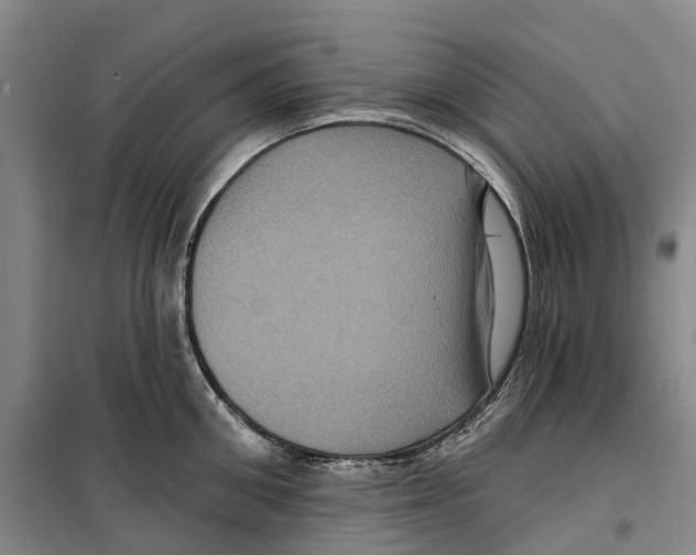 X0000099380906200806051118