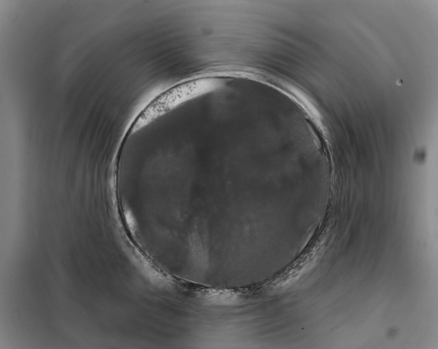 X0000099380907200806051118