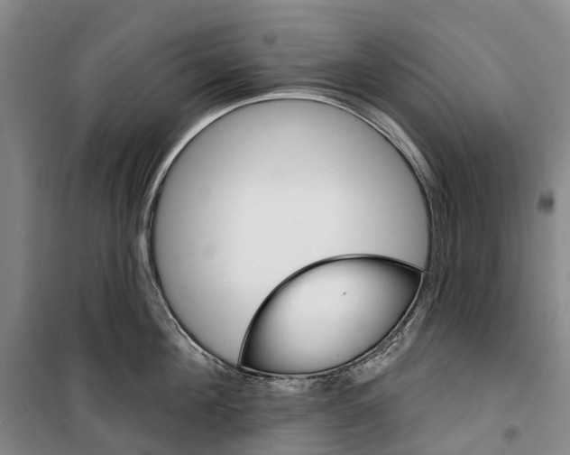 X0000099380908200806051118