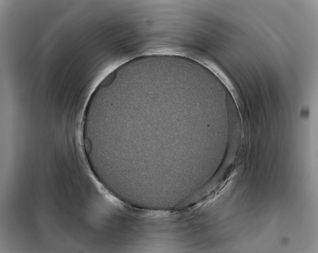 X0000099380909200806051118