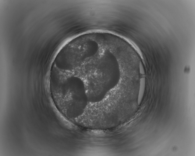 X0000099380911200806051118
