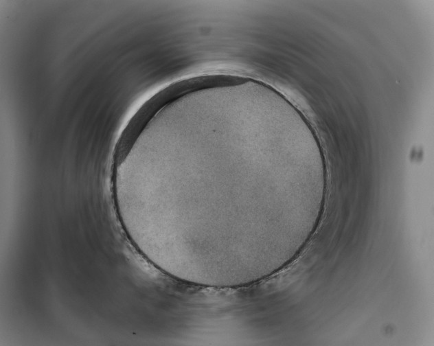 X0000099380912200806051118