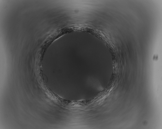 X0000099380913200806051117