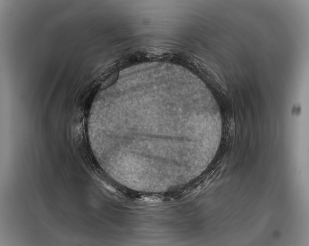 X0000099380914200806051117
