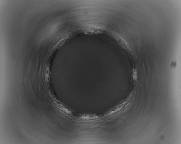 X0000099380915200806051117
