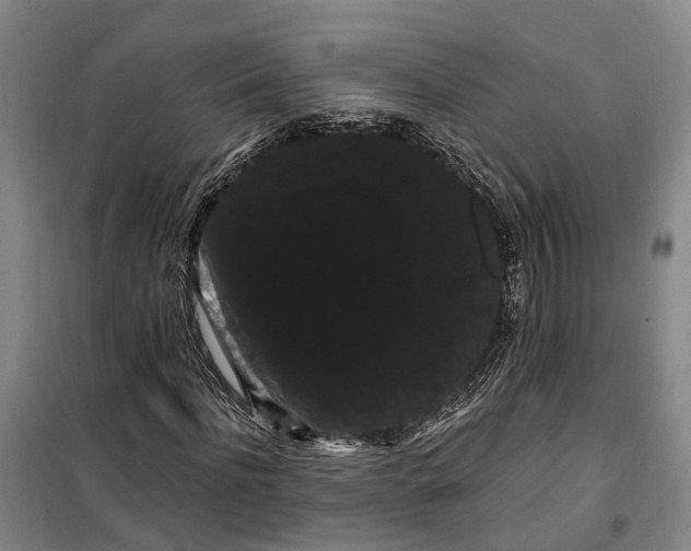 X0000099380916200806051117