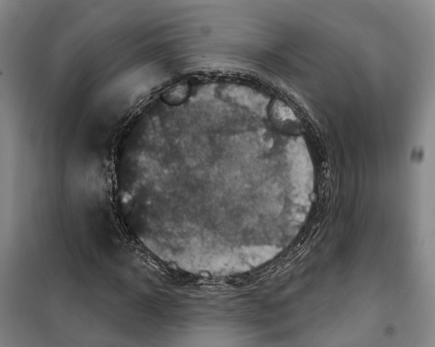 X0000099380918200806051117