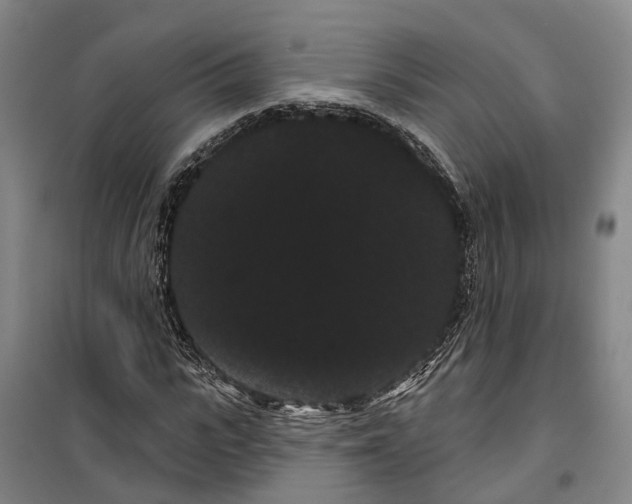 X0000099380919200806051117