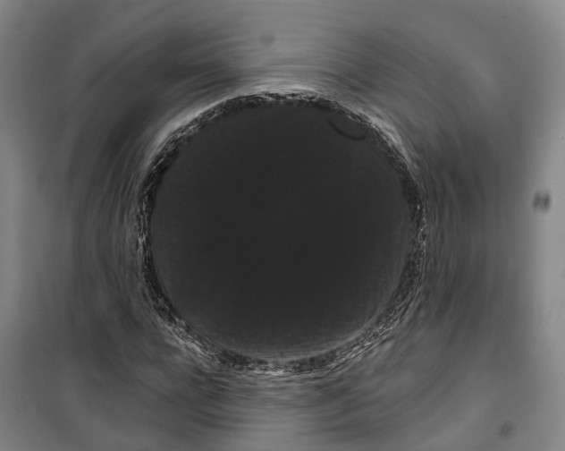 X0000099380920200806051117